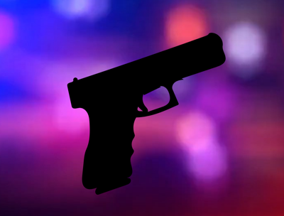 Gun