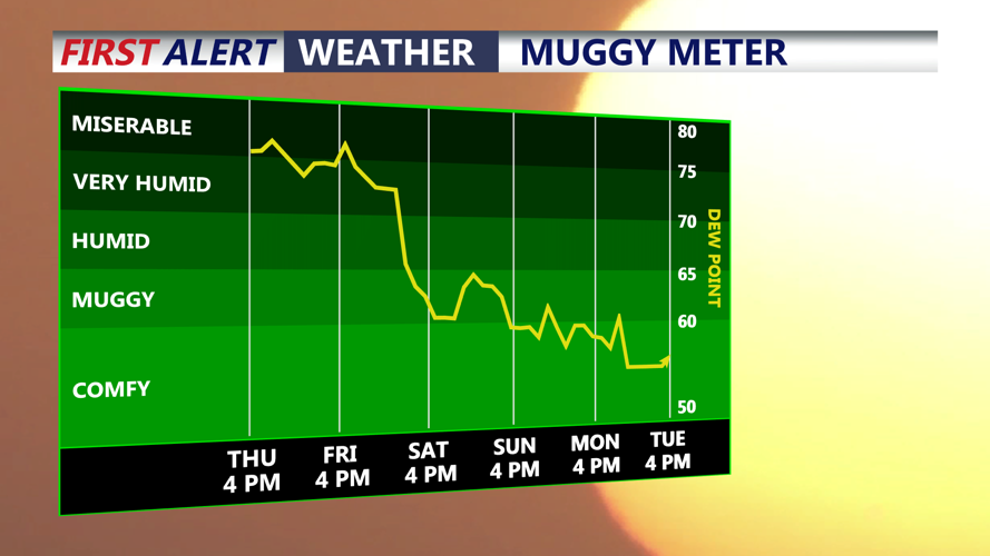 muggy meter