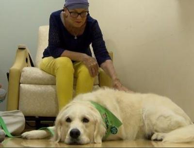 Delmarva Pets: Pet therapy helps local cancer patients