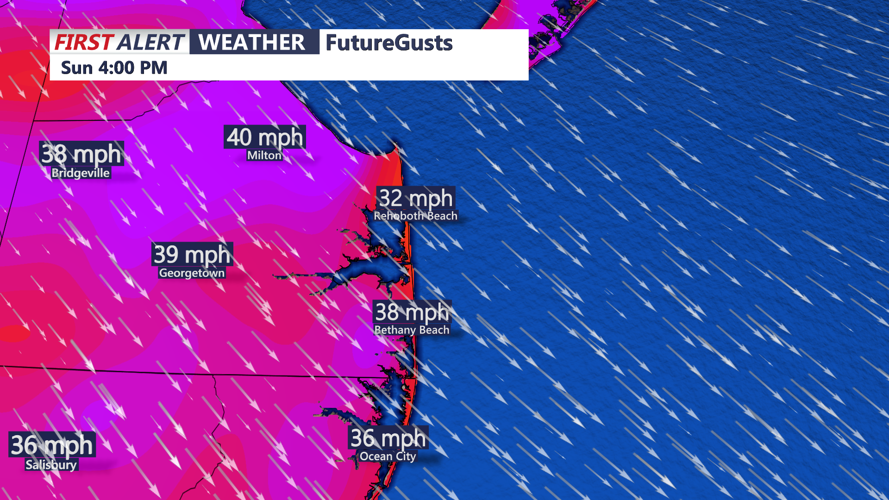 Future Wind Gusts