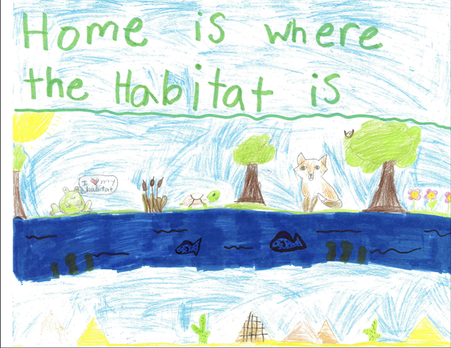 HEIN Sussex Academy students win conservation poster contest