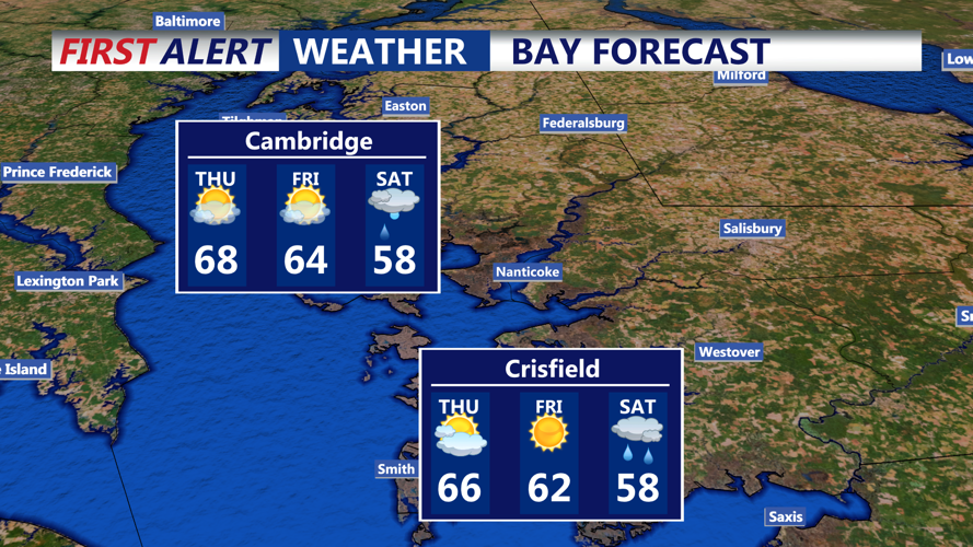 BAY FORECAST