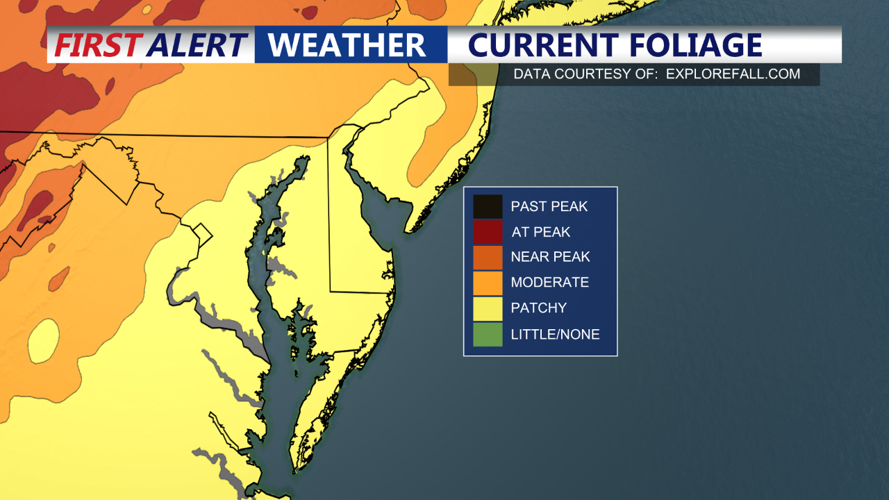 Warm and Dry Start to the Week for Delmarva with Near-Record Highs by ...