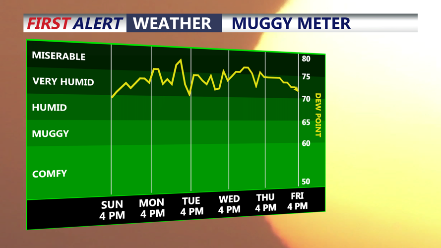 muggy meter