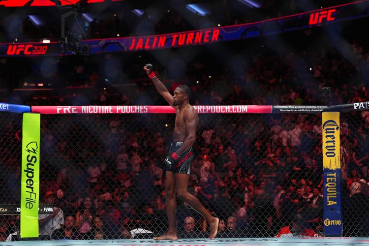 UFC 330 Mixed Martial Arts