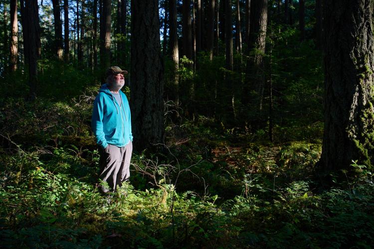 Climate Canada Deforestation