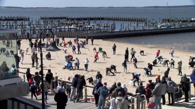 Beachgoers Scramble For Easter Eggs & Treats During Dewey Egg Scoop