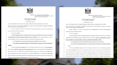 Delaware House Bill 146 & Senate Bill 233