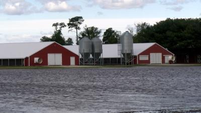 Flooded farm in Laurel