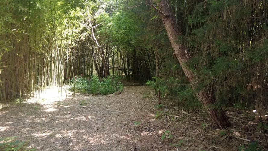 Nature Preserve