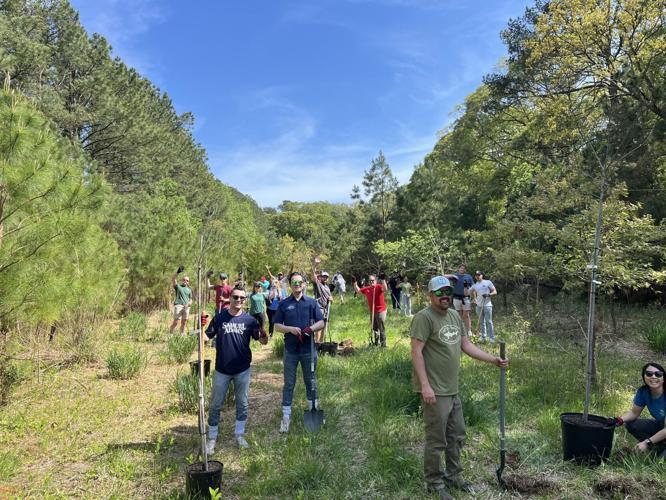 Tree Planting
