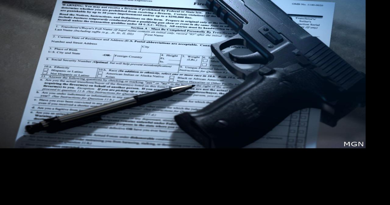 Proposed Gun Permit Bill Moves to Senate After Extensive Public Comment ...
