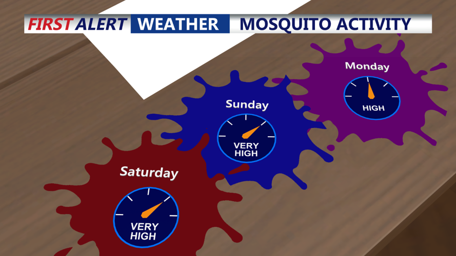 Misquito Activity Forecast
