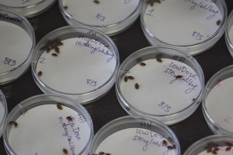 Be Well-Bedbugs