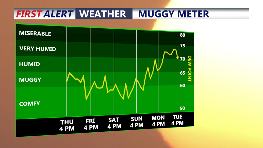 muggy meter