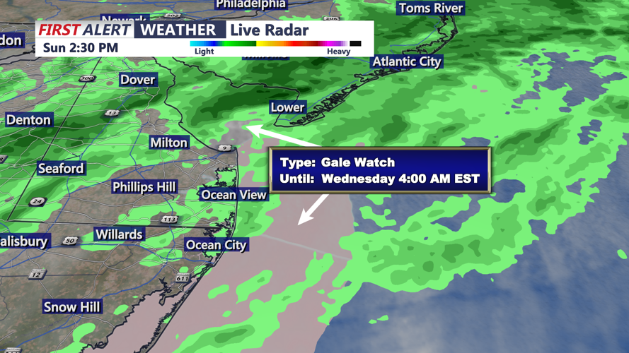 RADAR/GALE WIND WATCHES SUSSEX