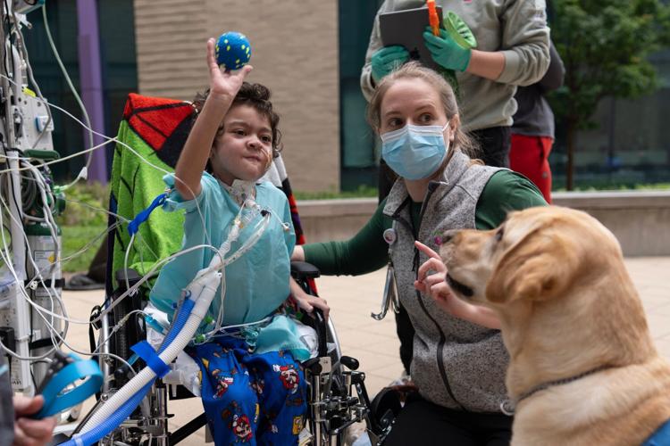 Children's Hospitals Dogs