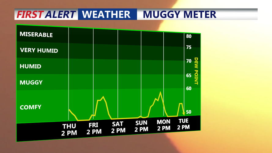 muggy meter