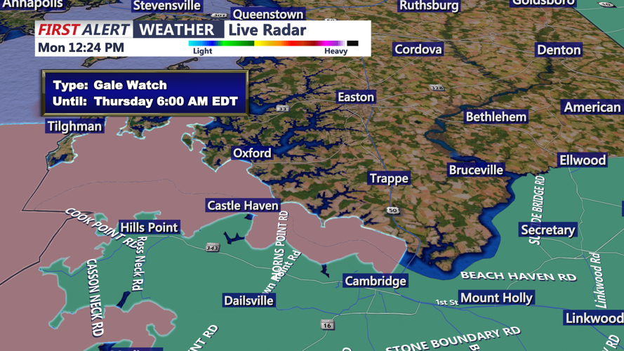 GALE WIND WATCH - CAMBRIDGE