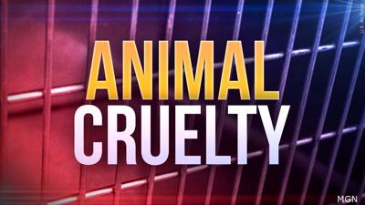 Animal Cruelty