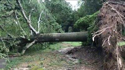 Looking Back at Isaias Wrath Two Weeks Later