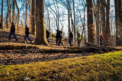 Hikes