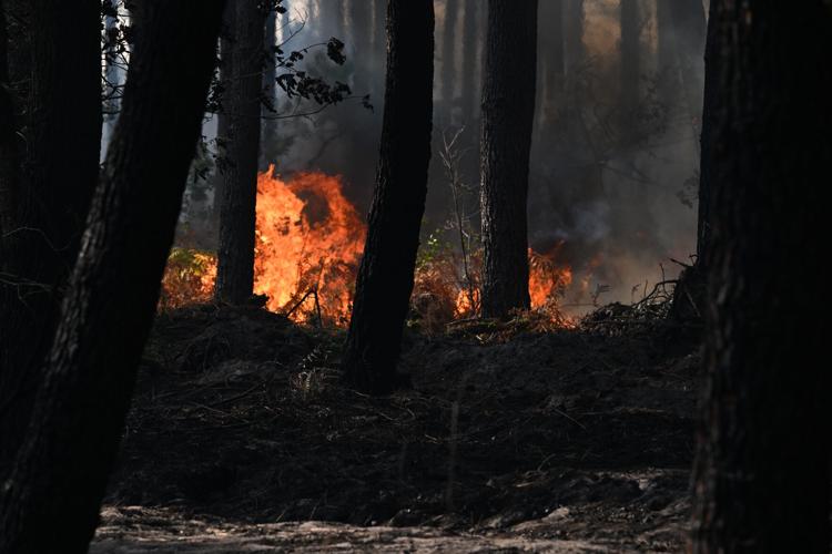 France Wildfires