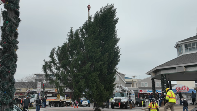 Rehoboth Beach Christmas Tree