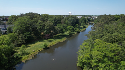 Rehoboth Beach Tree Canopy