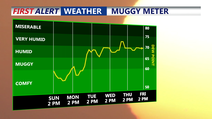 MUGGY METER