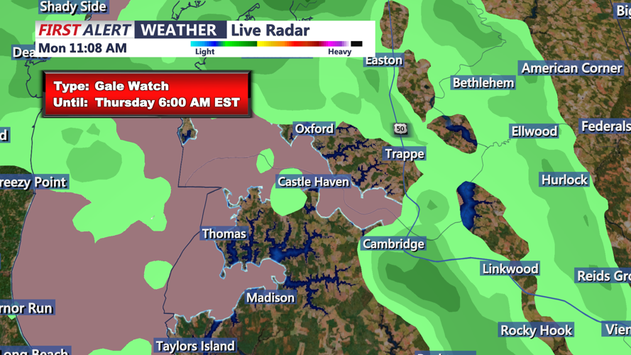 GALE WIND WATCH - CAMBRIDGE