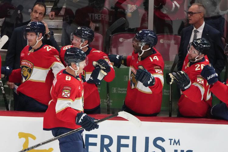 Canucks Panthers Hockey