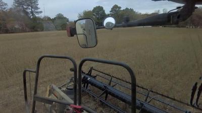 Farmer on Delmarva