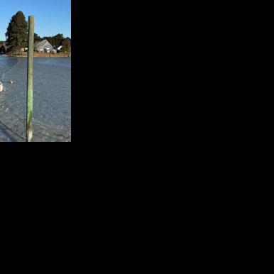 Dog rescued from icy creek in Accomack County