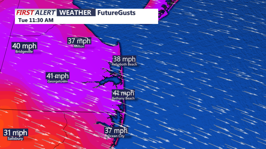 FUTURECAST WINDS