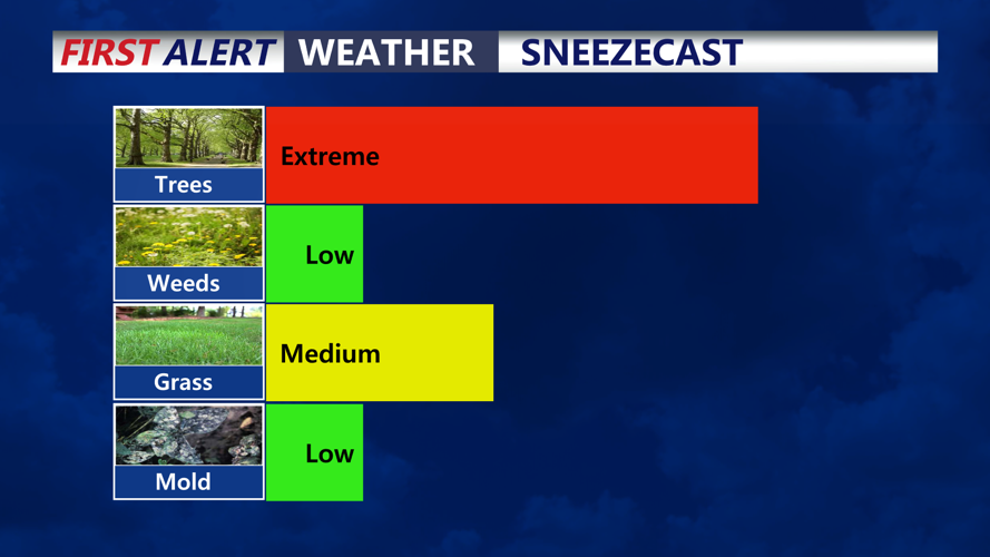 SNEEZECAST