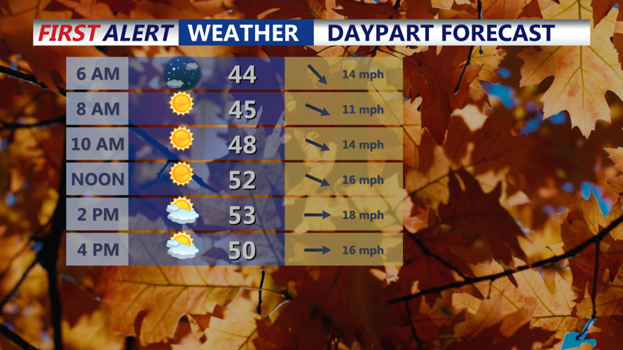 DAYPART FORECAST