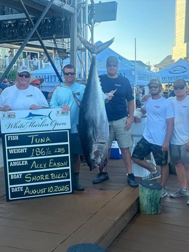 ShoreBilly Tuna catch on the final day