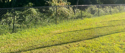 Sandhill Fields new fence