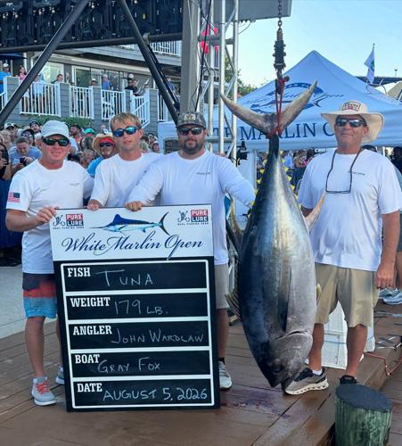 Four men posing at the scales with a 179-pound bigeye tuna.
