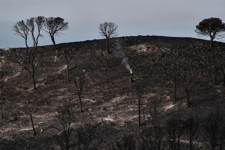 Spain Wildfire