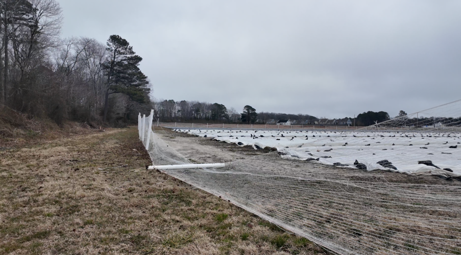 The growing deer population adds another challenge for farmers.