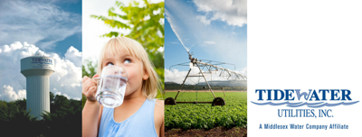 Tidewater Utilities Inc.