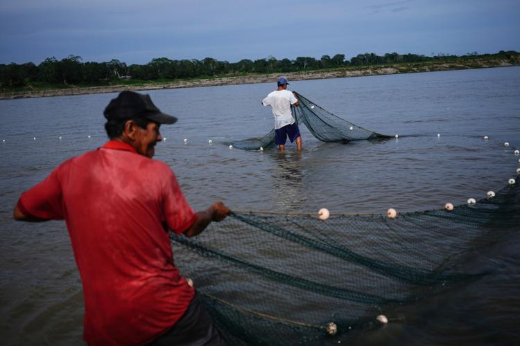 Climate Amazon Politics