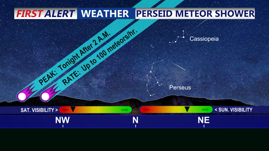 Perseid Meteor Shower