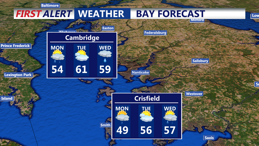 BAY FORECAST