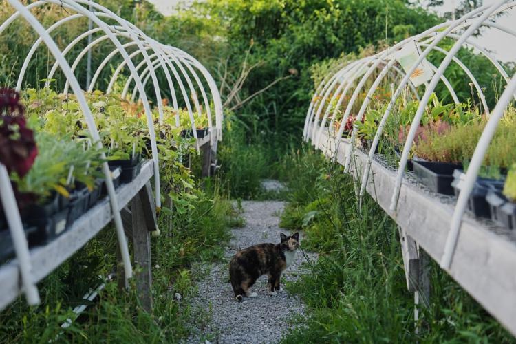 Climate Heat Specialty Crop Farms