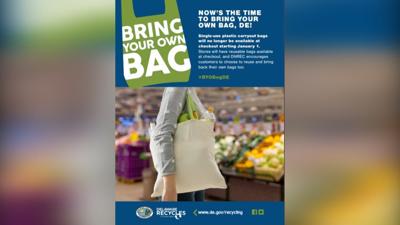Plastic Bags Banned From Some Stores, Paper Bags & Reusable Bags Available