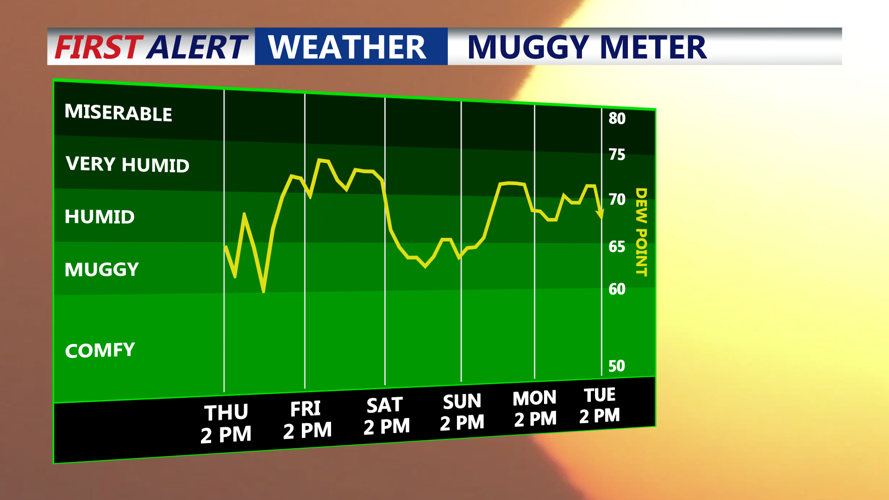 Muggy Meter