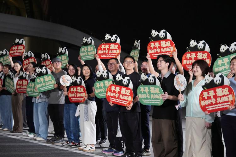 China US Pandas
